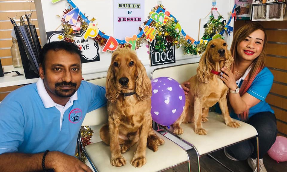 Comprehensive Grooming for all Sizes(XL,L,M,S) of Dogs and Small Cats