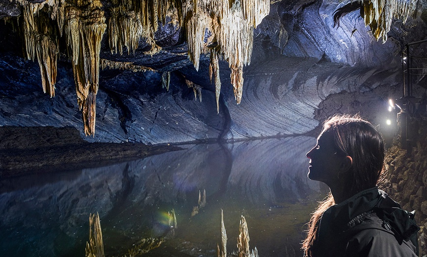 Image 12: Billet PassHan avec accès aux Grottes de Han et au Parc Animalier