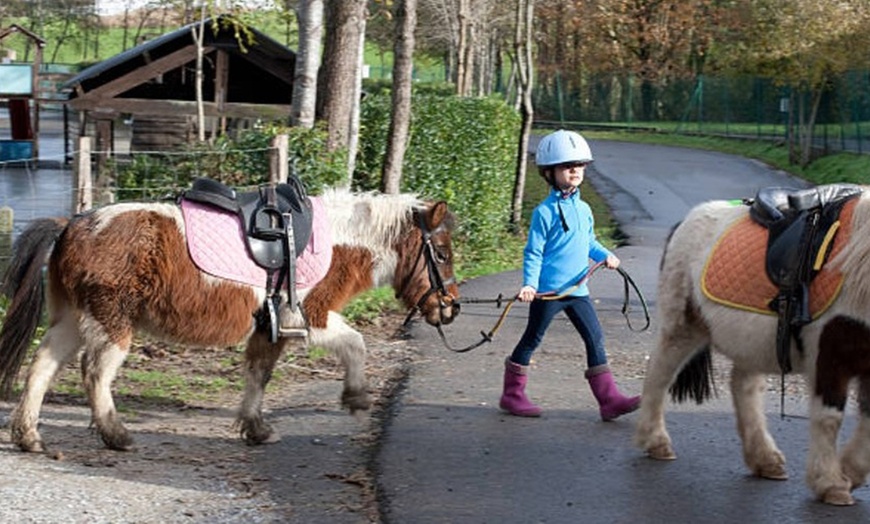 Image 7: Paseo en poni para niños con La Finca Pony Club