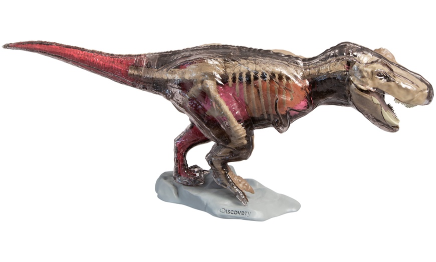 Image 1: 4D T-Rex Anatomy Kit