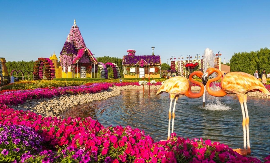 Image 4: Dubai Miracle Garden Tour