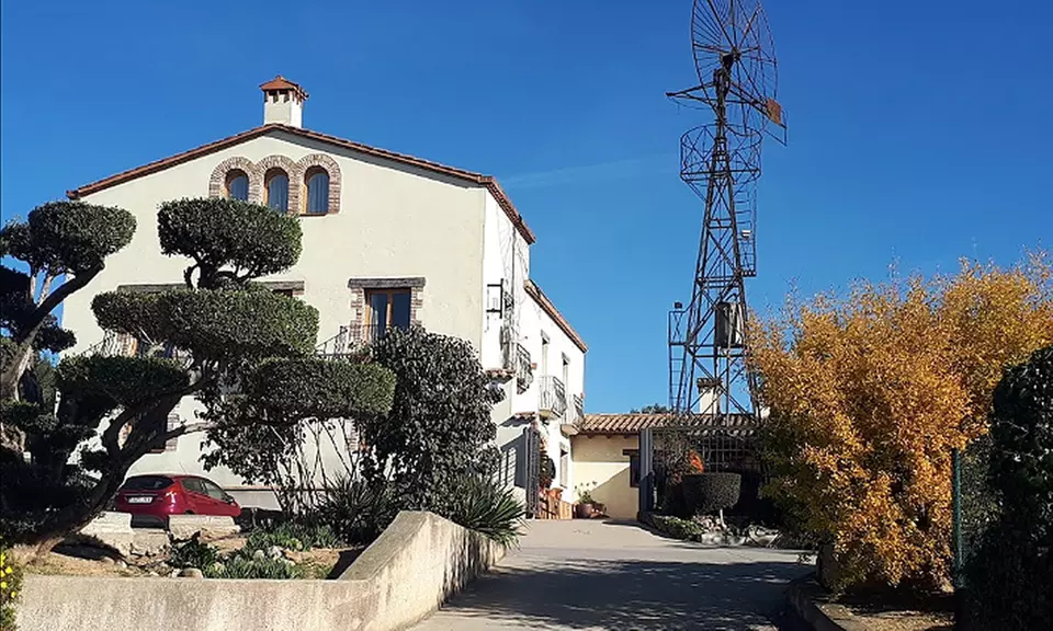 Menú de carne o pescado