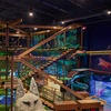 Image 2: Great Wolf Lodge Water Park in Houston/Webster TX | Indoor Water Park