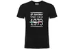 Lotto Italia or Stamp 1973 Logo Men's Cotton T-Shirt - Image 2