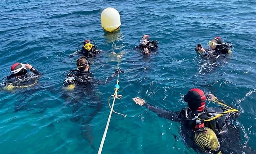 Image 7: Emoción bajo el agua: bautismo de buceo, diploma y descuento en cursos