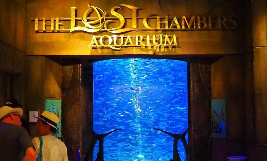 Image 19: Explore Dubai’s Lost Chambers Aquarium: Tickets for One, Two, or Four