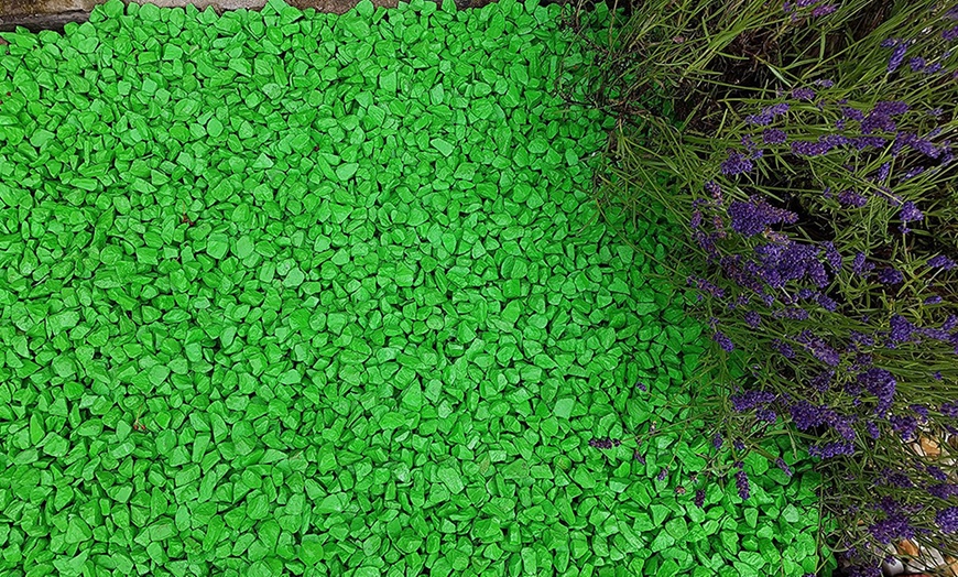 Image 13: Decorative Garden Stones