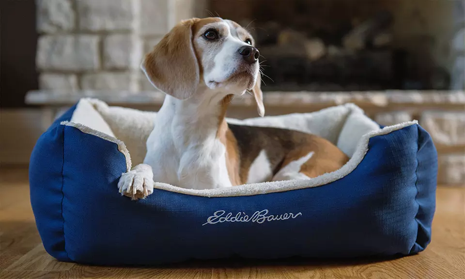 Eddie Bauer Ripstop Bolster Dog Bed - Primary Image