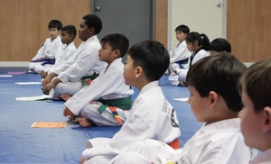 Up to 58% Off Classes at Park's World Hong Ik Tae Kwon Do