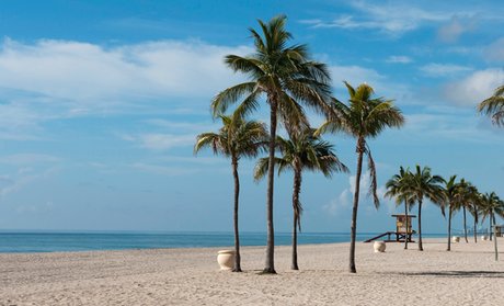 Miami Hotels - Deals in Miami, FL | Groupon