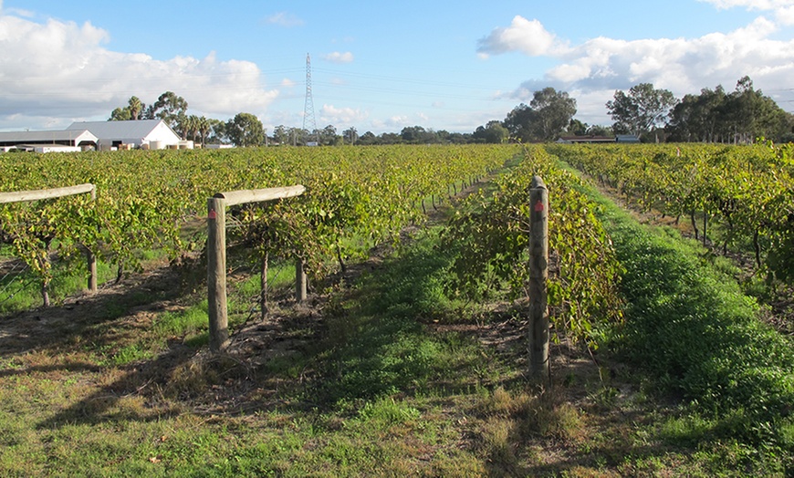 Image 6: Swan Valley Lunch and Wine