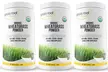 Grass Root Naturals Organic Wheatgrass Powder (100 Servings) - Second Medium