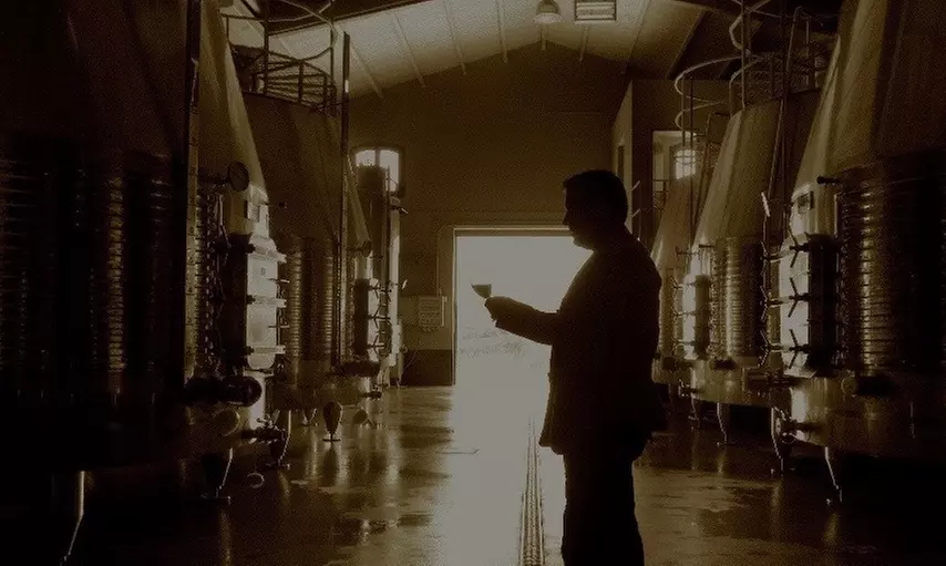 Visita a bodega con cata de vino