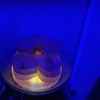 Image 5: Restore and Relax with a 60-Min Swedish or Deep Tissue Massage Package