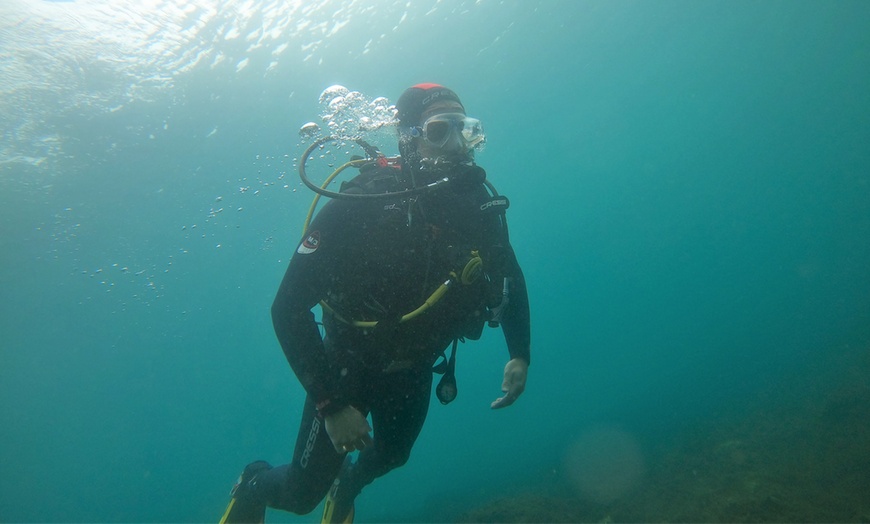 Image 6: Emoción bajo el agua: bautismo de buceo, diploma y descuento en cursos