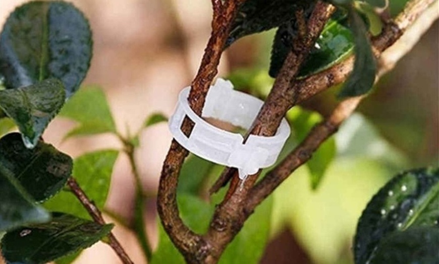 Image 1: One, Two or Four Packs of 50 Plant Support Clips