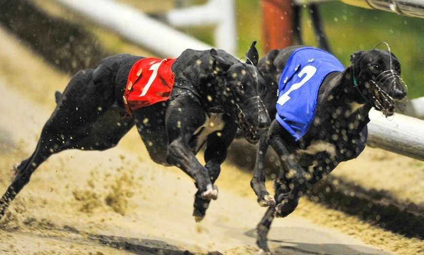 Image 1: Greyhound Racing Bundle at Romford Greyhound Stadium