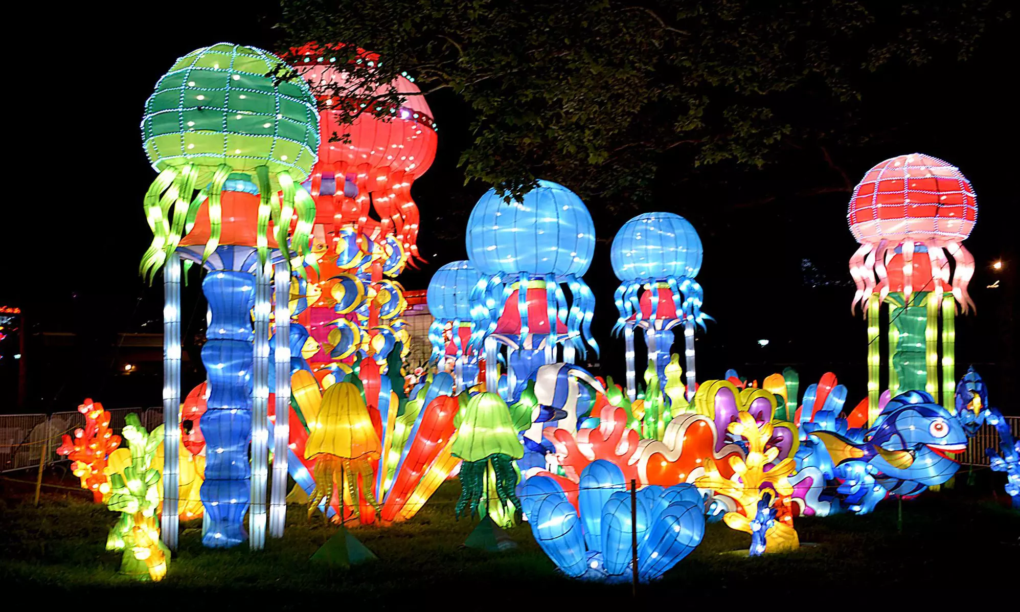 Single-Day General Admission to Art of Lights for One, Two, or Four on 12/12/18-02/10/2019 (Up to 36% Off) - Primary Image