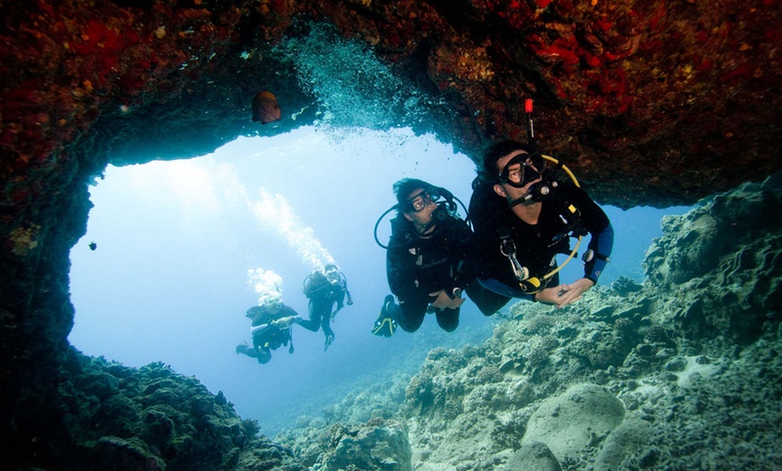 Image 4: Scuba Diving Experience