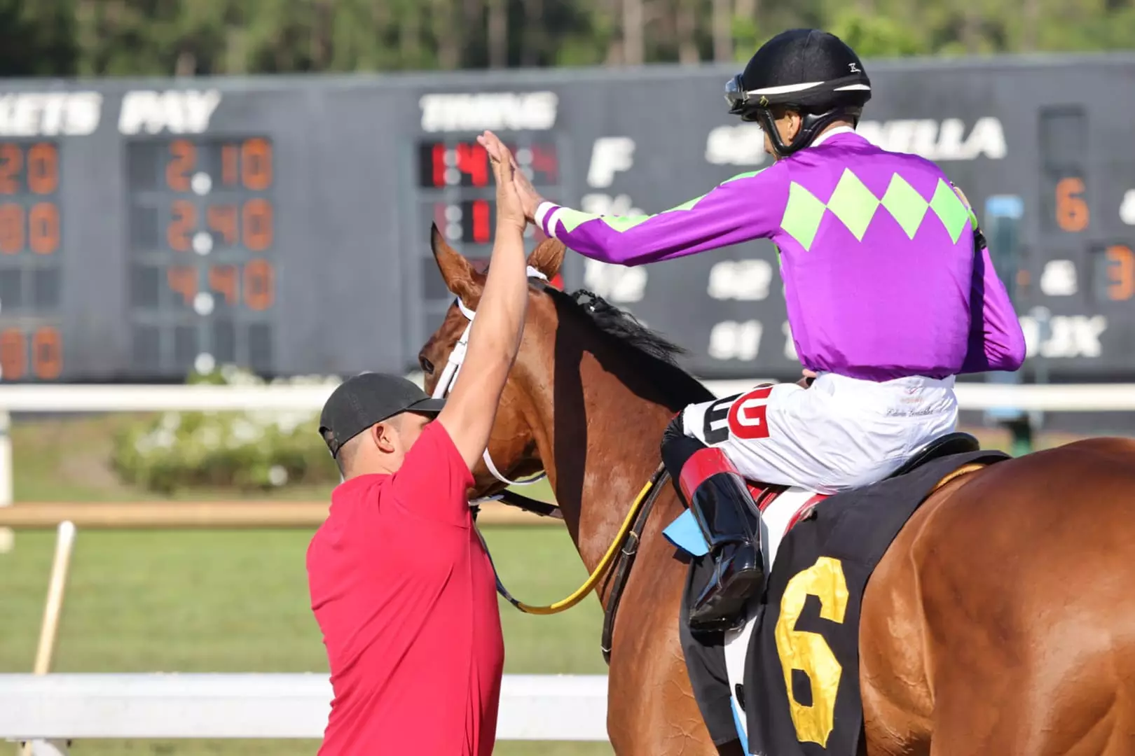 Tampa Bay Downs Horse Racing Deals: VIP Seating & Betting Vouchers