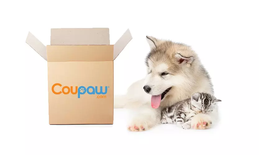 Pet Gift of the Month Club One-Month Subscription from Coupaw (54% Off) - Primary Image