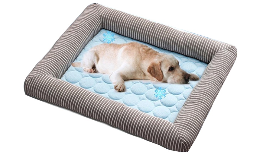 Image 5: Pet Cooling Gel Bed