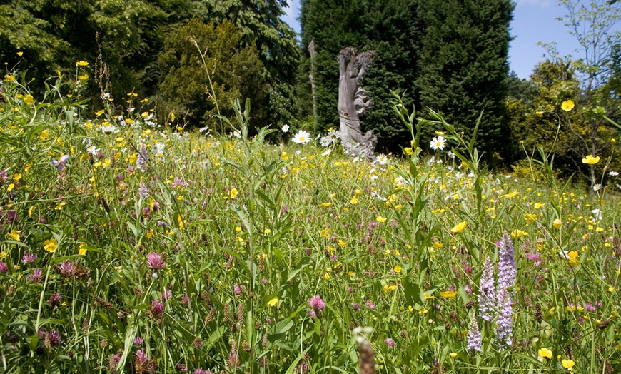 Image 7: Batsford Arboretum Entry
