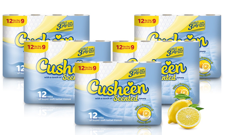 Image 8: Cusheen Mega Rolls Toilet Paper