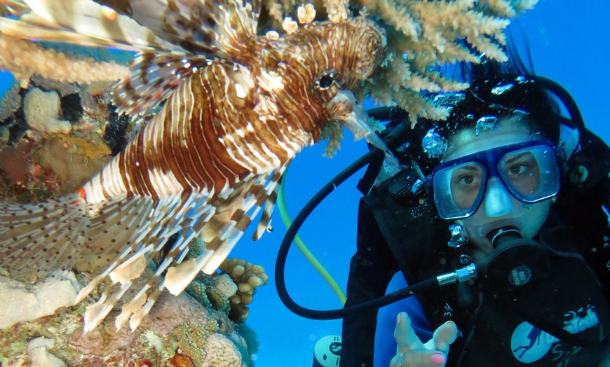 Image 8: Scuba Diving Experience