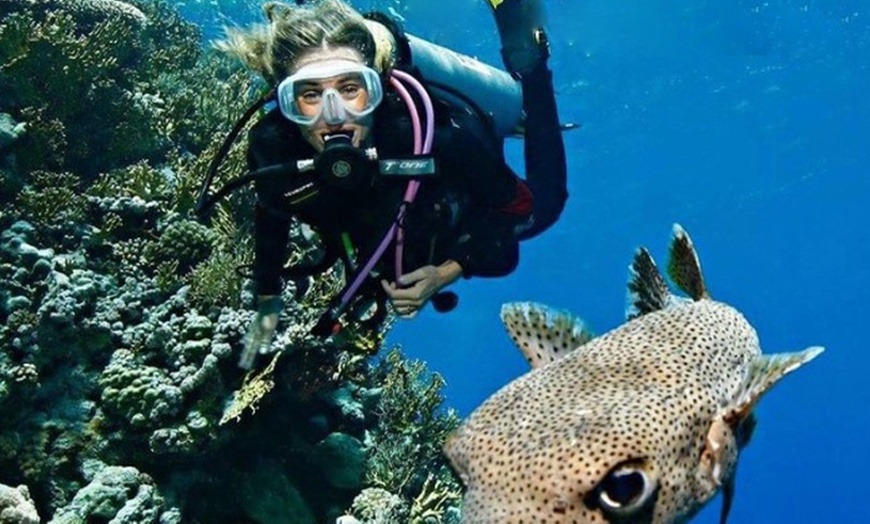 Image 1: Corso per principianti Scuba Diver SSI con Libeccio Tek Diving