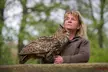Waldtour mit Greifvogel oder Eule für 1 oder 2 Personen mit der Falknerei Bergisch Land (bis zu 40% sparen) - Second Medium