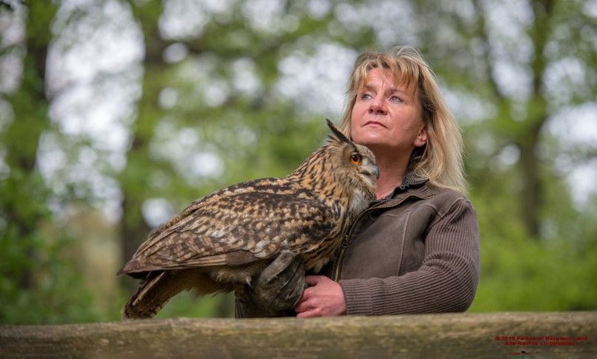 Image 3: Waldtour mit Greifvogel oder Eule