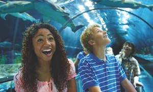 Save up to 61% On SeaWorld San Diego 