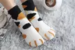 1x, 5x oder 10x Kuschelsocken mit Katzenmuster - Second Medium
