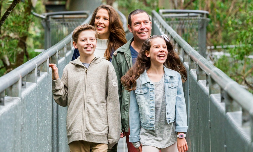 Image 4: Otway Fly Treetop Walk