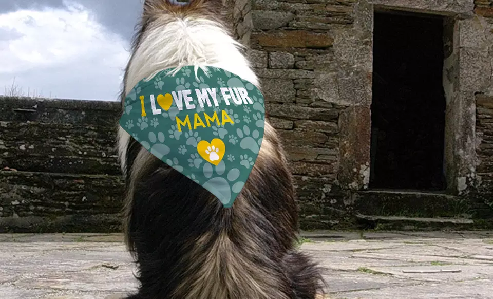 Personalized Dog Bandanas for Every Occasion