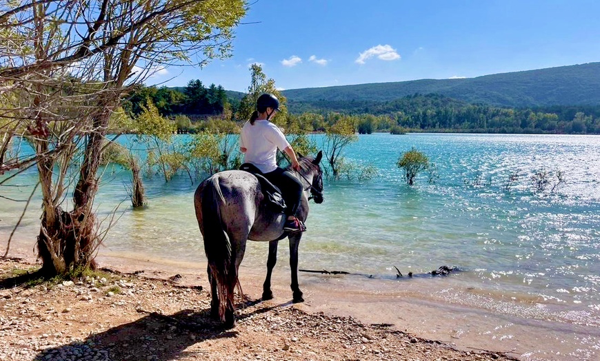 Image 2: Balade à cheval demi-journée au bord du Lac de Sainte-Croix
