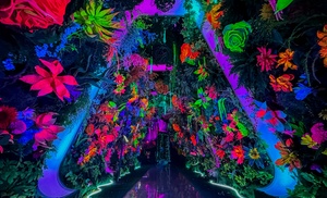 Up to 45% Off Admission to INTER_ Immersive Art Experience