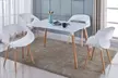 1, 2 ou 4 chaises scandinaves Twix - Second Medium