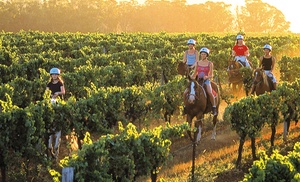 Hunter Valley: One- or Two-Night Vineyard Getaway