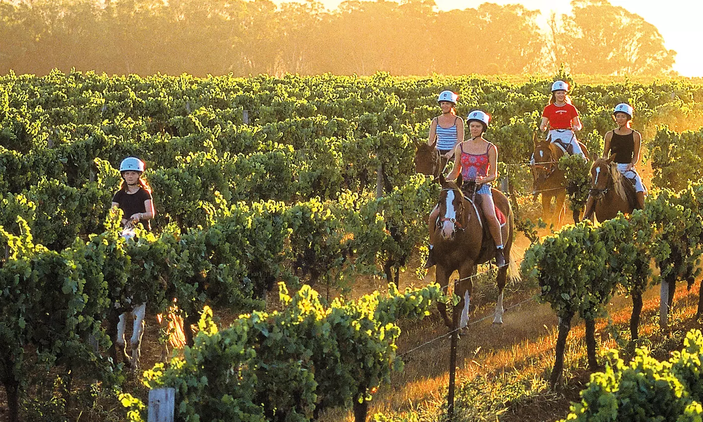 4* Hunter Valley: One- or Two-Night Stay Vineyard Getaway