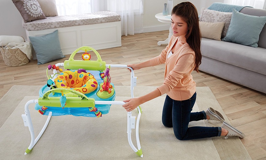 Image 2: Fisher Price Kids Jumperoo