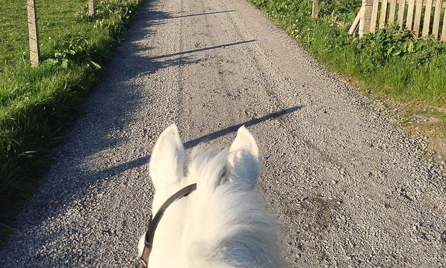 Image 2: 90-Minute Horse Riding Session