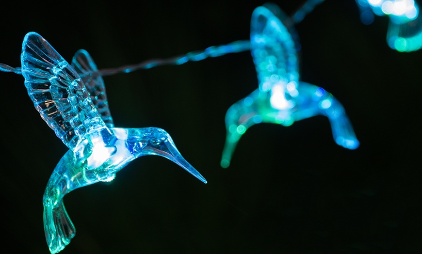 Image 10: Globrite Bird Solar String Lights