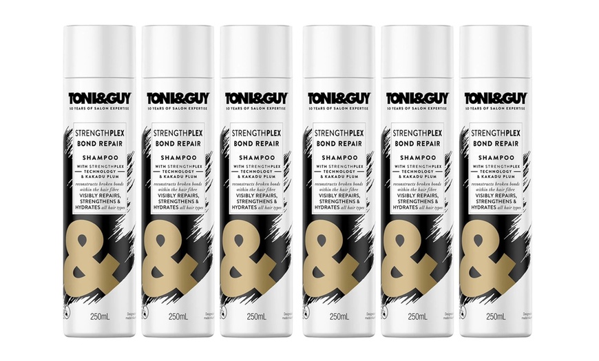 Image 7: Toni & Guy Strength Plex Bond Repair Shampoo & Conditioner