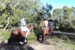 Ruta a caballo de 2 horas para 2 o 4 personas en La Suara - Second Medium