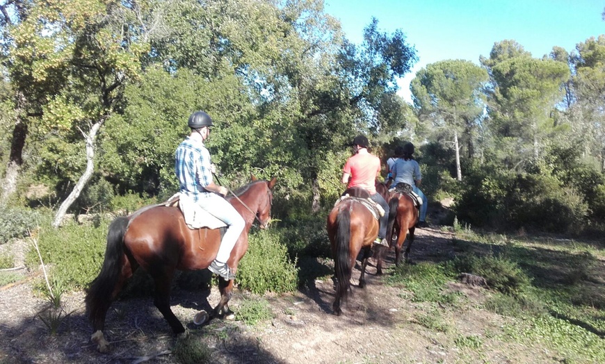 Image 4: Ruta a caballo para 2 o 4 personas en La Suara