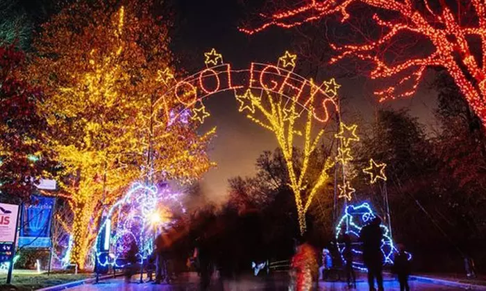 Holiday Lights Bus Tour Admission For One Adult or Child, Valid December 02 to December 31 (Up to 20% Off) - Second Medium
