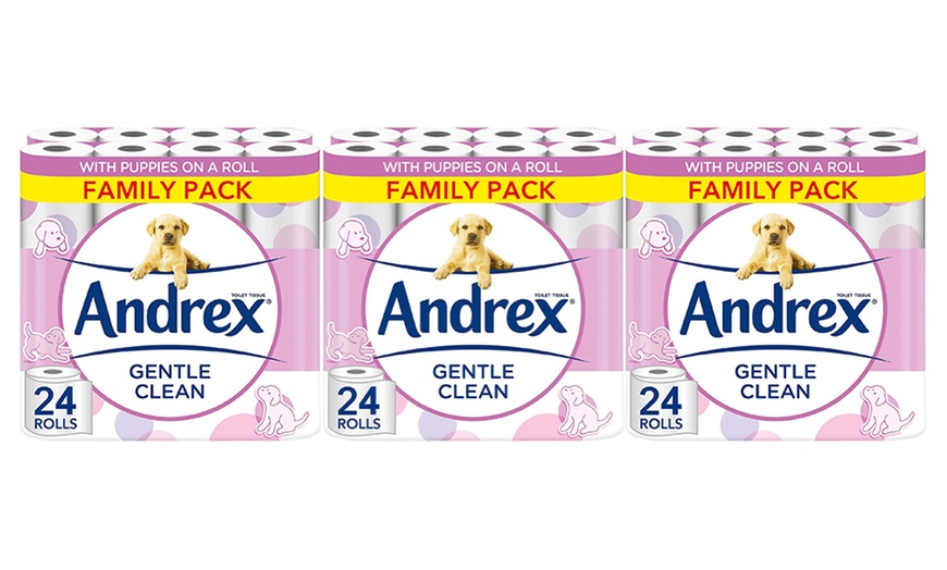 Image 4: Upto 72 Rolls of Andrex Fragrance-Free Toilet Rolls 