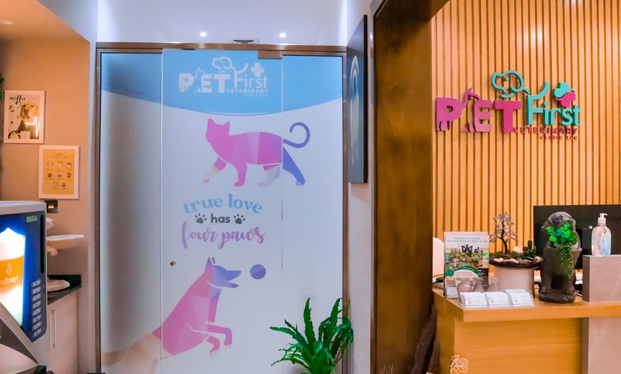 Image 23: Dog / Cat Grooming from Best Veterinary Clinic in the UAE Award Winner